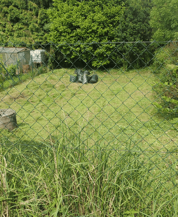 sečeni travy opava po