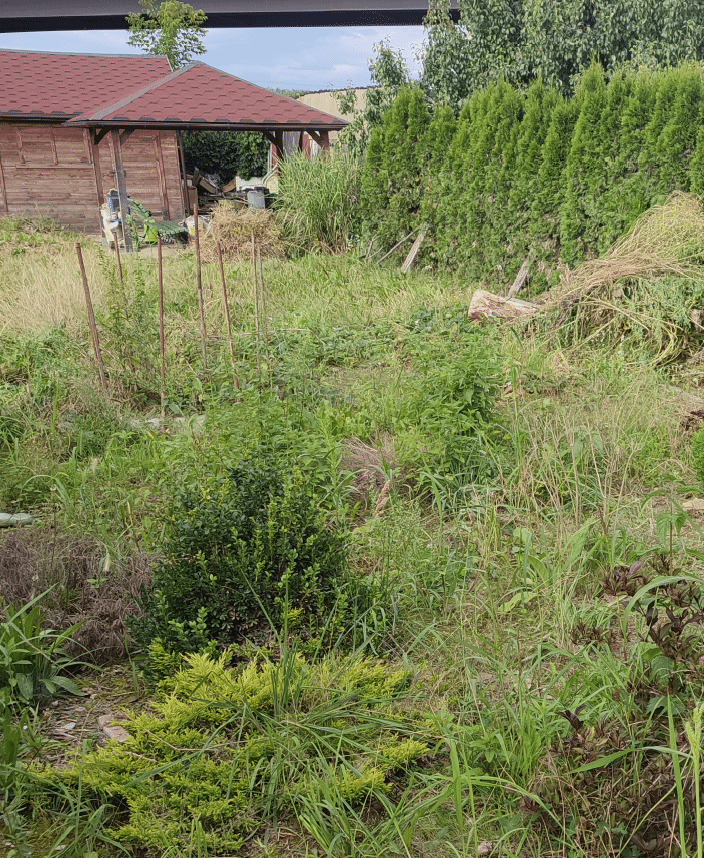 zakladani travniku opava pred